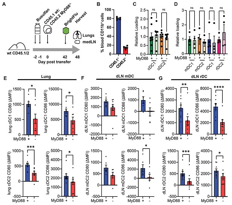 https://cdn.ncbi.nlm.nih.gov/pmc/blobs/7063/7616026/7b9b57456ab1/EMS196319-f005.jpg