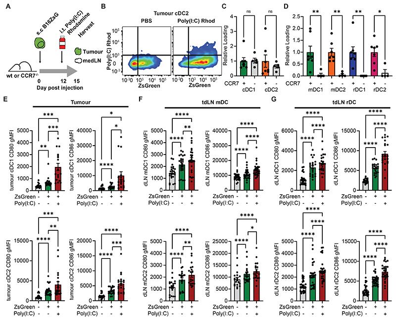 https://cdn.ncbi.nlm.nih.gov/pmc/blobs/7063/7616026/ad2b5b385339/EMS196319-f004.jpg
