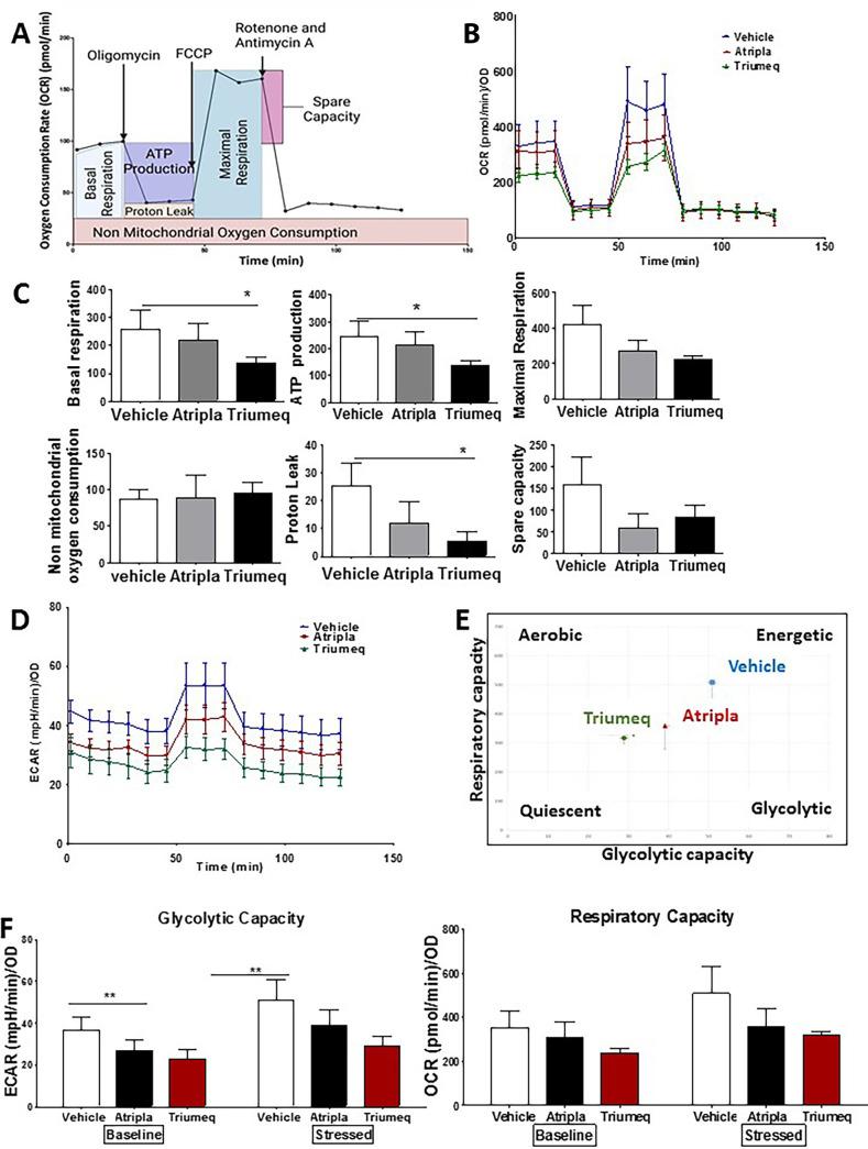 https://cdn.ncbi.nlm.nih.gov/pmc/blobs/7063/9017340/d05cede85a31/aac.01941-21-f004.jpg