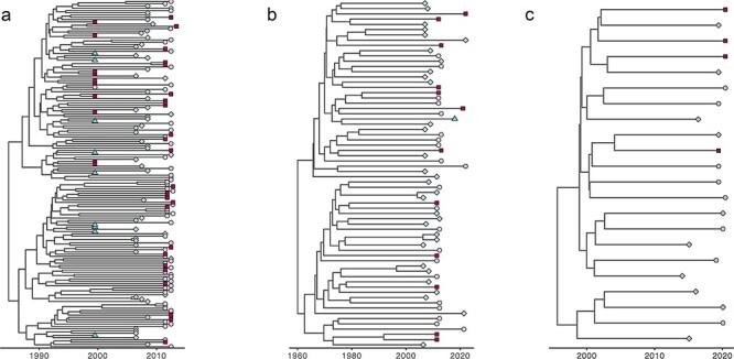 https://cdn.ncbi.nlm.nih.gov/pmc/blobs/7064/11463025/59dbfca5e6cb/veae070f5.jpg