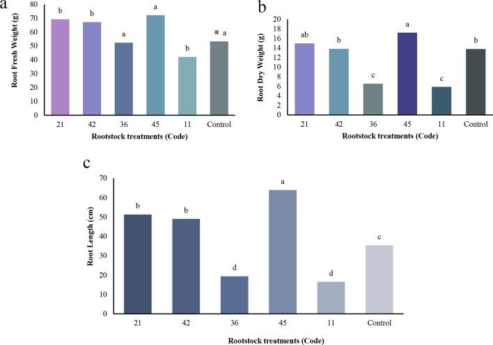 https://cdn.ncbi.nlm.nih.gov/pmc/blobs/7065/12023354/28884d26bca8/12870_2025_6571_Fig7_HTML.jpg