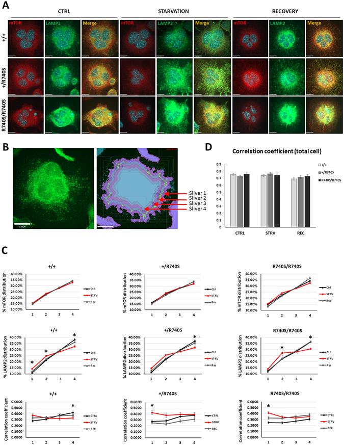 https://cdn.ncbi.nlm.nih.gov/pmc/blobs/7066/5462732/7581475b066d/41598_2017_3494_Fig3_HTML.jpg