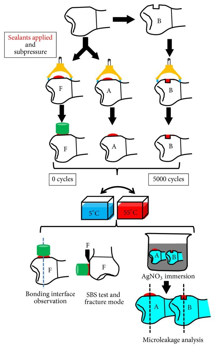 https://cdn.ncbi.nlm.nih.gov/pmc/blobs/7067/6458865/5ae24365695b/BMRI2019-5070383.002.jpg