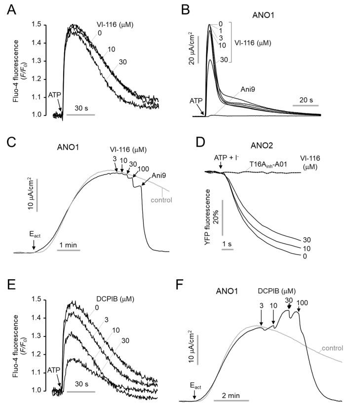 https://cdn.ncbi.nlm.nih.gov/pmc/blobs/7067/9103758/79ded40150f3/ijms-23-05168-g005.jpg
