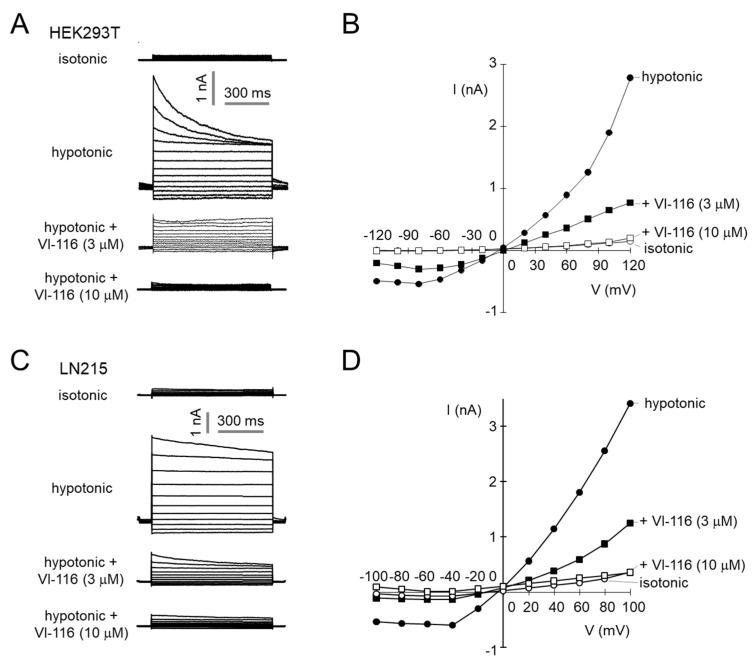 https://cdn.ncbi.nlm.nih.gov/pmc/blobs/7067/9103758/90f3d425b48e/ijms-23-05168-g004.jpg