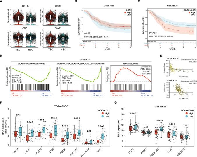 https://cdn.ncbi.nlm.nih.gov/pmc/blobs/7068/12021961/b1000f18df28/10238_2025_1653_Fig6_HTML.jpg