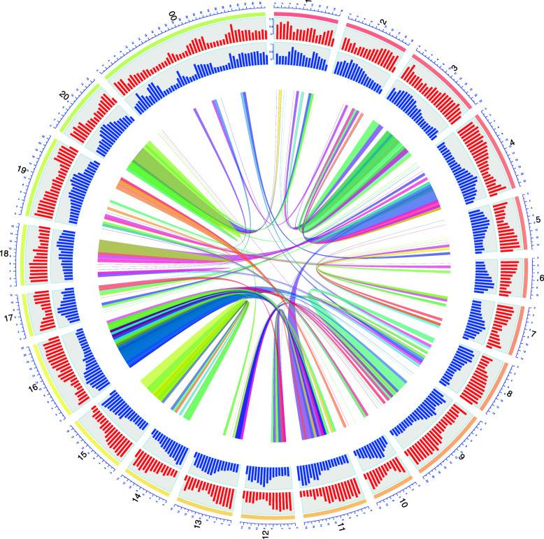 https://cdn.ncbi.nlm.nih.gov/pmc/blobs/7069/7898432/5e06be544ab6/12870_2021_2858_Fig2_HTML.jpg