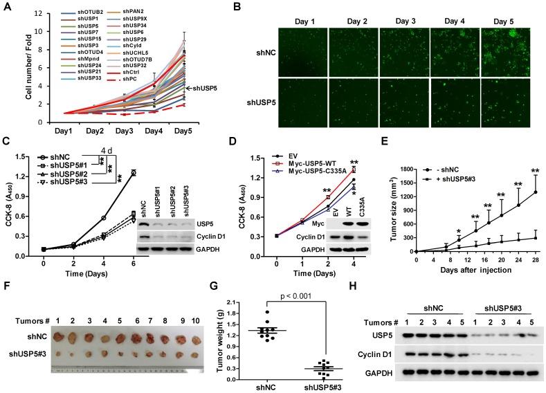 https://cdn.ncbi.nlm.nih.gov/pmc/blobs/706a/6592179/513ee1e4f843/thnov09p4208g001.jpg