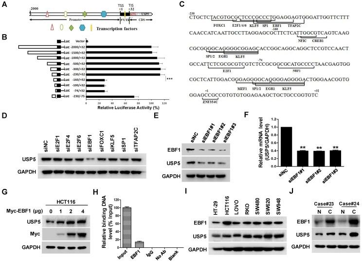https://cdn.ncbi.nlm.nih.gov/pmc/blobs/706a/6592179/d46a4ad2e8ad/thnov09p4208g006.jpg