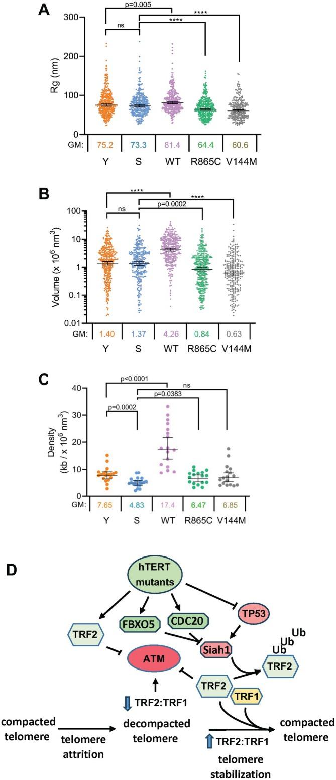 https://cdn.ncbi.nlm.nih.gov/pmc/blobs/706b/12341801/2f4712c3fce8/ACEL-24-e70105-g001.jpg