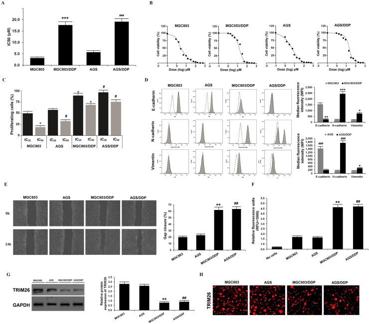 https://cdn.ncbi.nlm.nih.gov/pmc/blobs/706b/12355122/835f7645f007/gr7.jpg