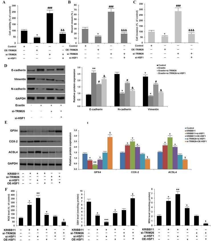 https://cdn.ncbi.nlm.nih.gov/pmc/blobs/706b/12355122/ac043a920d2c/gr4.jpg