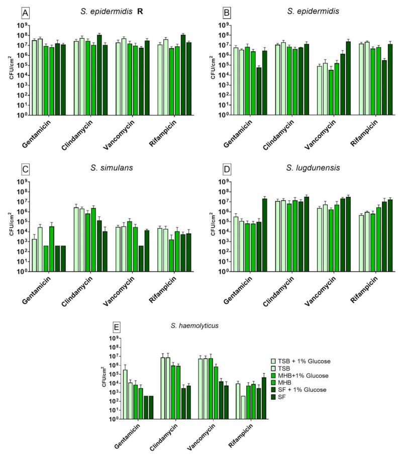 https://cdn.ncbi.nlm.nih.gov/pmc/blobs/706d/8300679/2a323387fc80/antibiotics-10-00790-g001.jpg