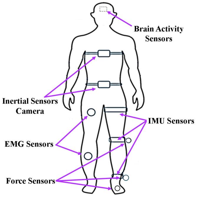 https://cdn.ncbi.nlm.nih.gov/pmc/blobs/706f/11679449/64e1e7048a52/sensors-24-08090-g003.jpg