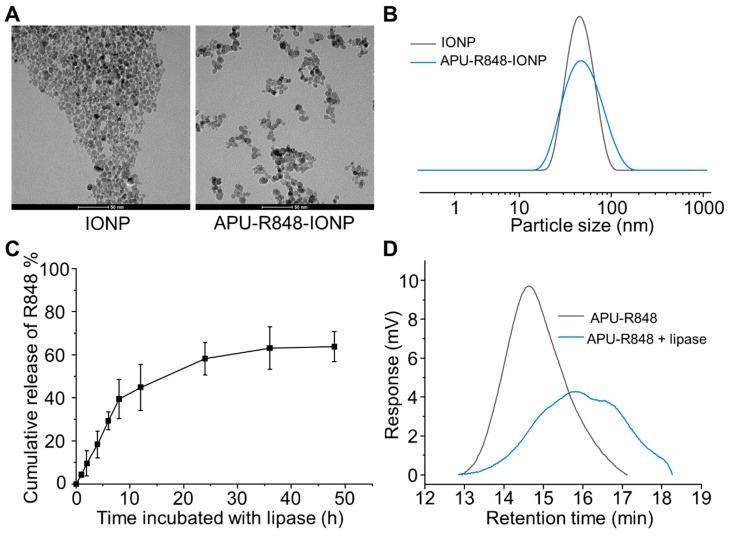 https://cdn.ncbi.nlm.nih.gov/pmc/blobs/706f/12250821/3ac107c3ba36/nanomaterials-15-01006-g002.jpg