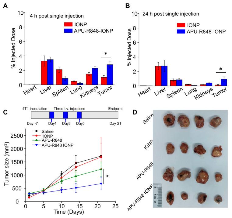 https://cdn.ncbi.nlm.nih.gov/pmc/blobs/706f/12250821/4814f0ef0da4/nanomaterials-15-01006-g004a.jpg