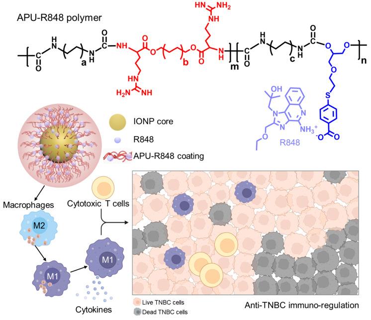 https://cdn.ncbi.nlm.nih.gov/pmc/blobs/706f/12250821/c9ea89e81a2a/nanomaterials-15-01006-g001.jpg