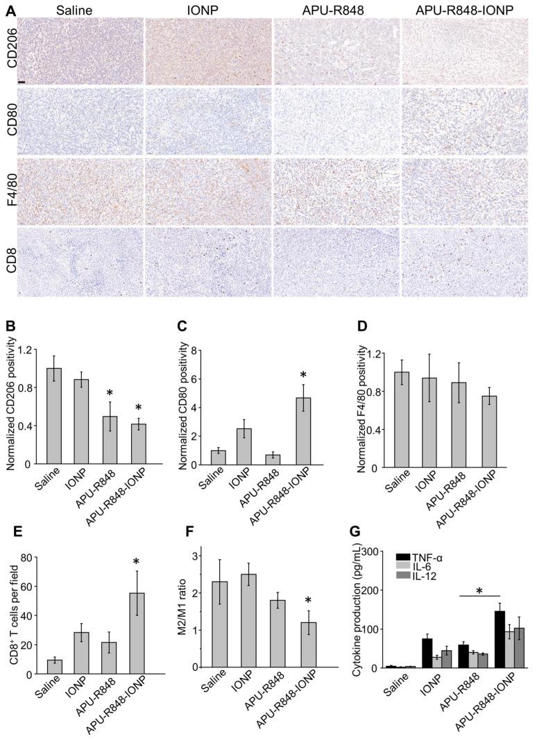 https://cdn.ncbi.nlm.nih.gov/pmc/blobs/706f/12250821/dc00721204ca/nanomaterials-15-01006-g005.jpg