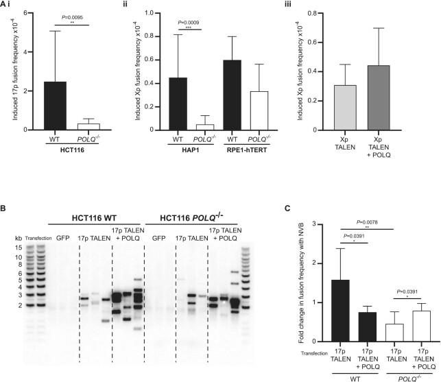 https://cdn.ncbi.nlm.nih.gov/pmc/blobs/7070/9241439/122ade3bd1c5/zcac020fig2.jpg