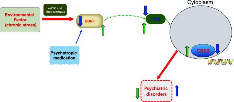 https://cdn.ncbi.nlm.nih.gov/pmc/blobs/7072/11451321/6338dc301269/CN-22-2384_F11.jpg