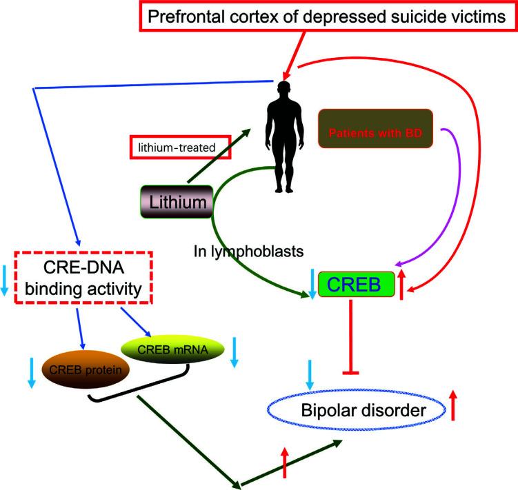 https://cdn.ncbi.nlm.nih.gov/pmc/blobs/7072/11451321/83c9e2b39b69/CN-22-2384_F10.jpg