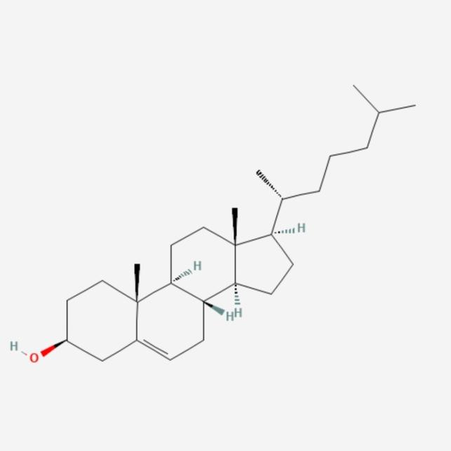 https://cdn.ncbi.nlm.nih.gov/pmc/blobs/7075/12328551/058f8defb2ee/12032_2025_2939_Fig8_HTML.jpg