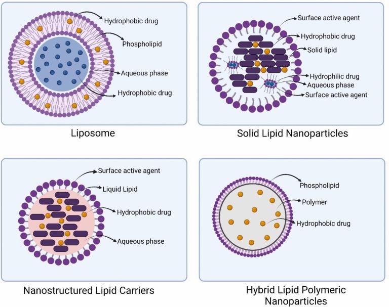 https://cdn.ncbi.nlm.nih.gov/pmc/blobs/7075/12328551/0abee95984cf/12032_2025_2939_Fig1_HTML.jpg