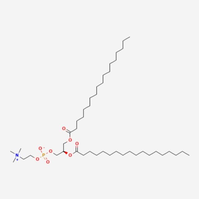 https://cdn.ncbi.nlm.nih.gov/pmc/blobs/7075/12328551/5ef11cc66150/12032_2025_2939_Fig3_HTML.jpg