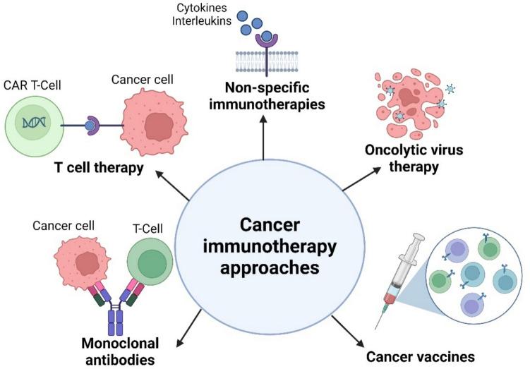 https://cdn.ncbi.nlm.nih.gov/pmc/blobs/7075/12328551/98825a39bf8c/12032_2025_2939_Fig2_HTML.jpg