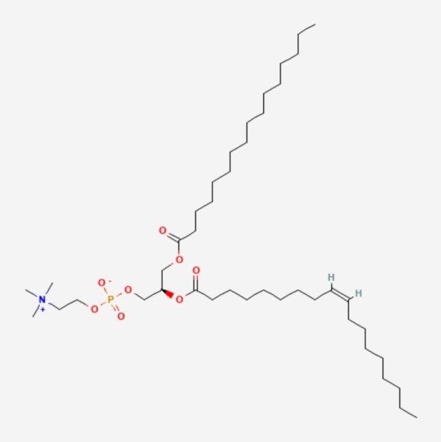 https://cdn.ncbi.nlm.nih.gov/pmc/blobs/7075/12328551/bb4c5c444516/12032_2025_2939_Fig4_HTML.jpg