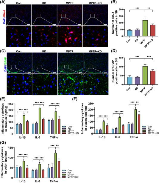 https://cdn.ncbi.nlm.nih.gov/pmc/blobs/7076/10186339/6982187fffb3/MCO2-4-e268-g001.jpg