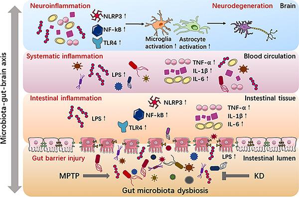 https://cdn.ncbi.nlm.nih.gov/pmc/blobs/7076/10186339/6e58990edbf8/MCO2-4-e268-g003.jpg