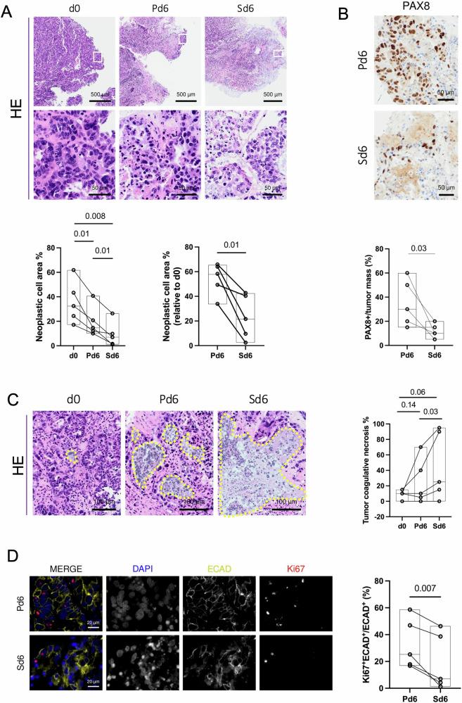https://cdn.ncbi.nlm.nih.gov/pmc/blobs/7077/12102267/1269a06a5b1a/41698_2025_941_Fig1_HTML.jpg