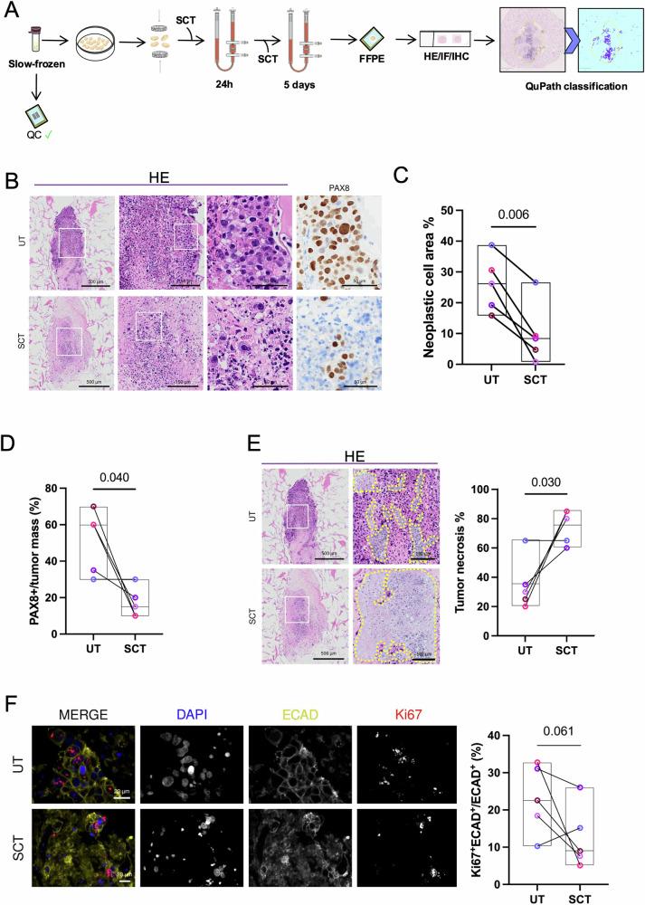 https://cdn.ncbi.nlm.nih.gov/pmc/blobs/7077/12102267/ae6f625613fd/41698_2025_941_Fig5_HTML.jpg