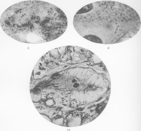https://cdn.ncbi.nlm.nih.gov/pmc/blobs/707a/2099842/eaba0356ec2b/jmedres00096-0148-a.jpg