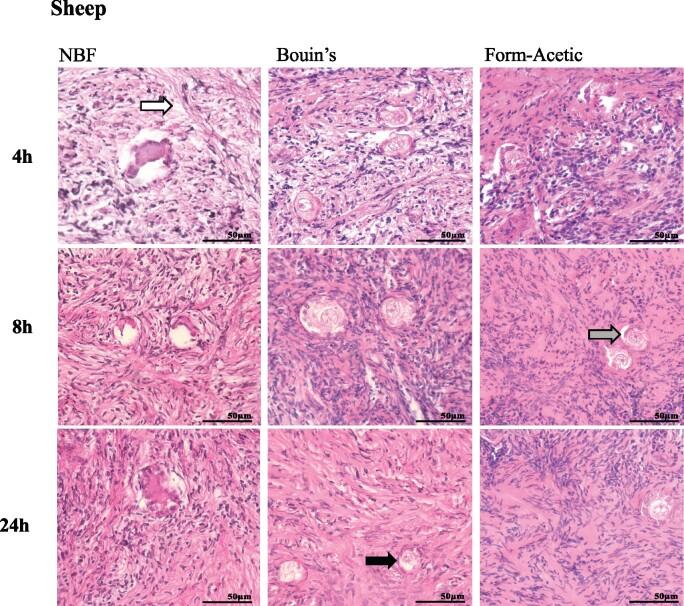 https://cdn.ncbi.nlm.nih.gov/pmc/blobs/707a/8213453/5f932d85e366/deab075f3.jpg