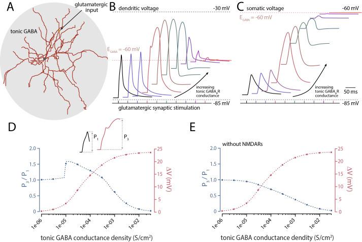 https://cdn.ncbi.nlm.nih.gov/pmc/blobs/707b/10830145/de501d8c8a42/pbio.3002483.g007.jpg