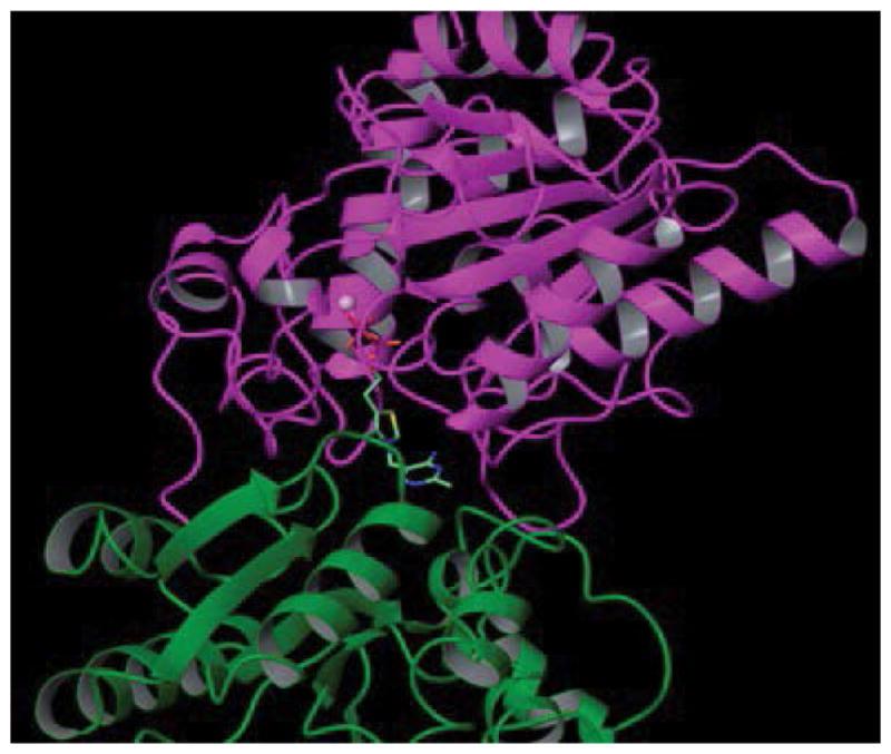 https://cdn.ncbi.nlm.nih.gov/pmc/blobs/707b/5851014/c1e71f232081/nihms940856f2.jpg