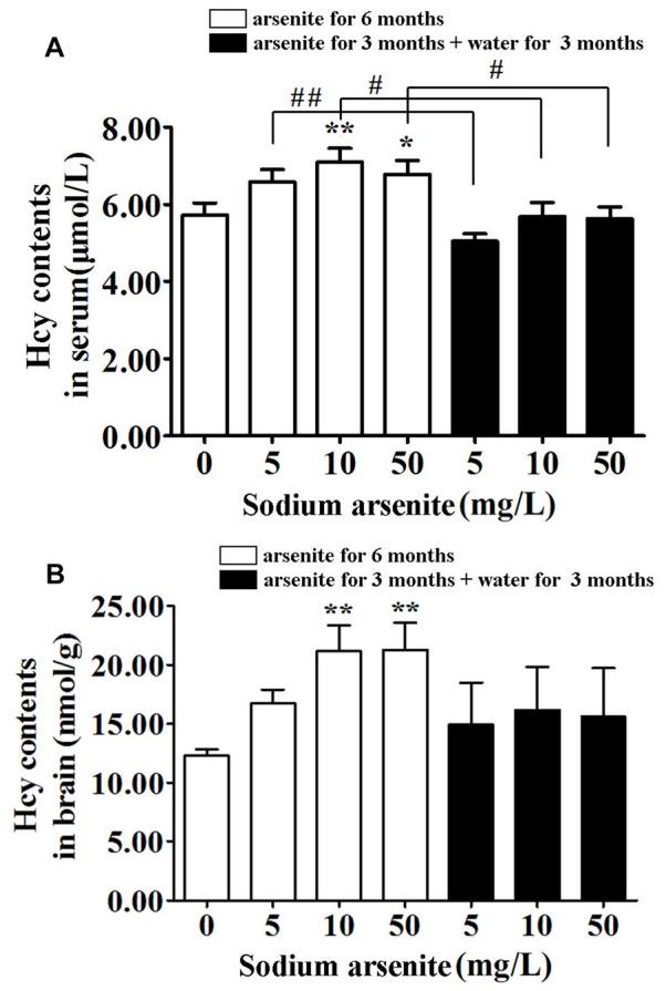 https://cdn.ncbi.nlm.nih.gov/pmc/blobs/707c/5594089/dfd2435e9c3c/fnmol-10-00286-g0004.jpg