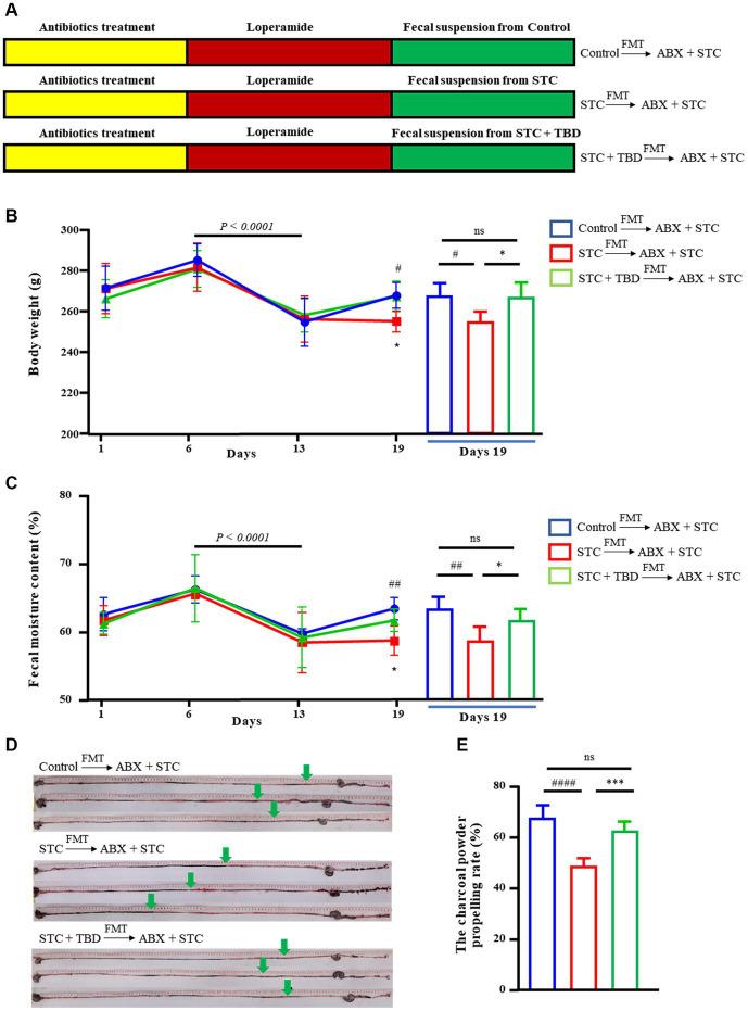 https://cdn.ncbi.nlm.nih.gov/pmc/blobs/707d/10822989/a40fe8d7c47e/fmicb-14-1296163-g003.jpg