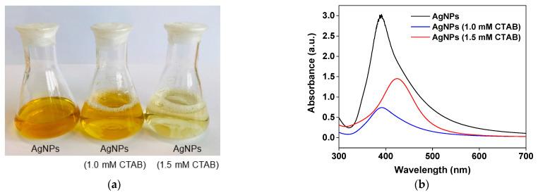https://cdn.ncbi.nlm.nih.gov/pmc/blobs/7080/8125236/95996ba71ec1/molecules-26-02720-g001.jpg