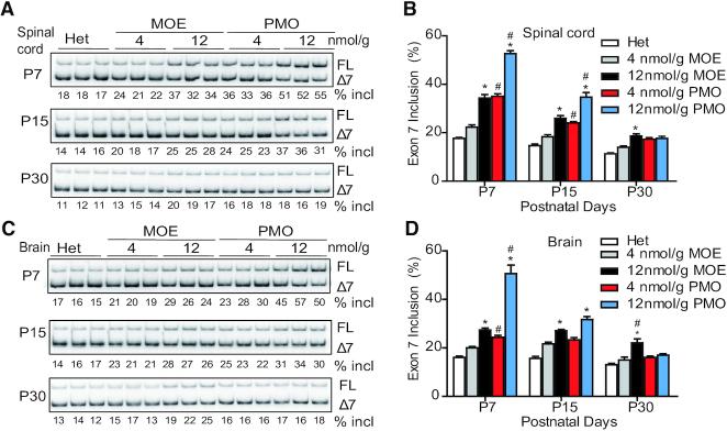 https://cdn.ncbi.nlm.nih.gov/pmc/blobs/7081/7102994/c6a73666c9c1/gkaa126fig4.jpg