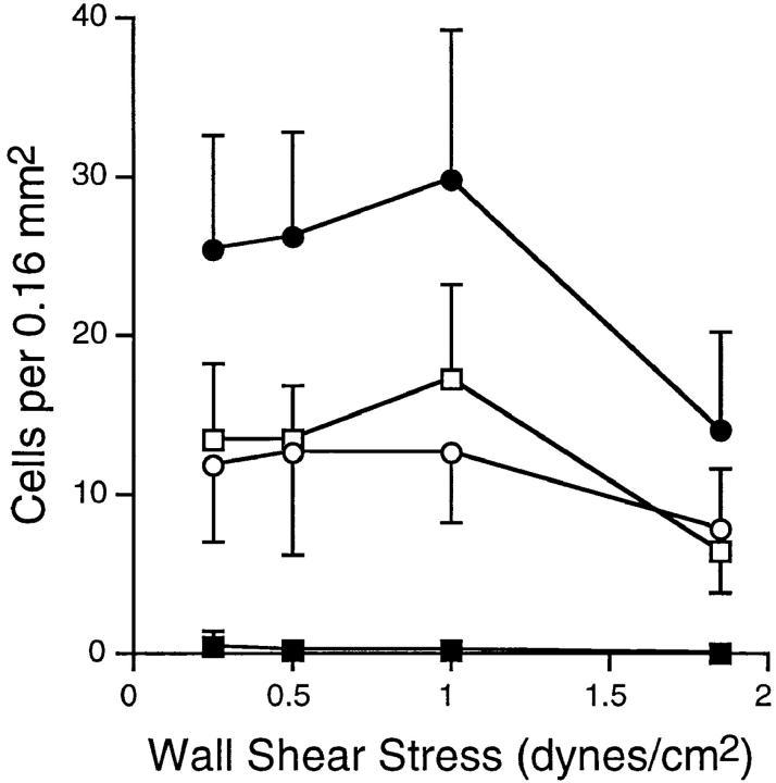 https://cdn.ncbi.nlm.nih.gov/pmc/blobs/7082/2213407/14efc3dc8ed9/JEM980441.f1.jpg