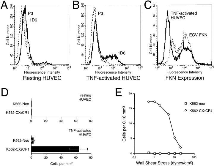 https://cdn.ncbi.nlm.nih.gov/pmc/blobs/7082/2213407/3238276e7dea/JEM980441.f5.jpg