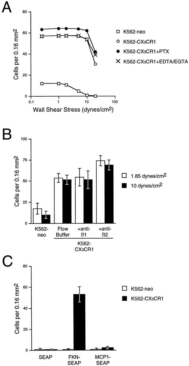 https://cdn.ncbi.nlm.nih.gov/pmc/blobs/7082/2213407/d81f41ba39f2/JEM980441.f4.jpg