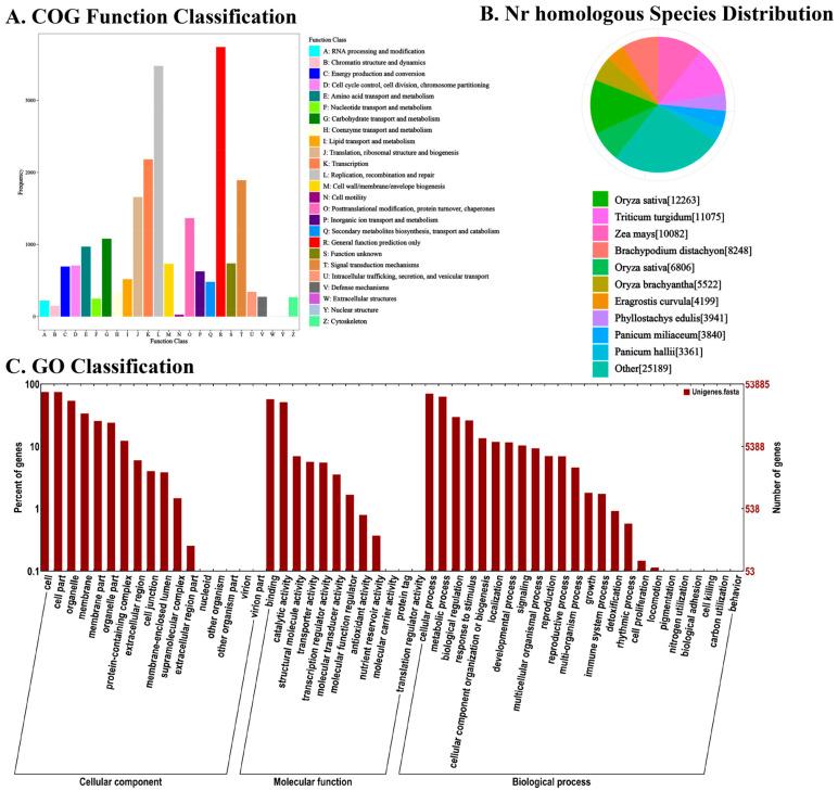 https://cdn.ncbi.nlm.nih.gov/pmc/blobs/7087/12072057/b21e1ae42067/foods-14-01647-g003.jpg