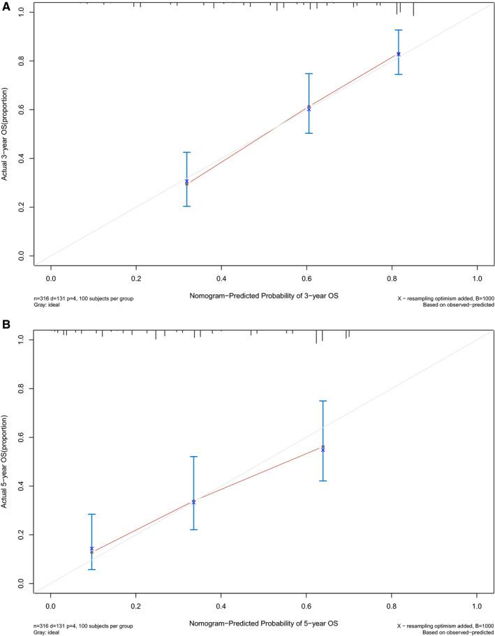 https://cdn.ncbi.nlm.nih.gov/pmc/blobs/7087/8184679/6a8788bf815f/JCMM-25-5681-g007.jpg