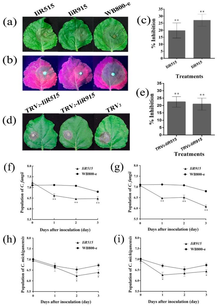https://cdn.ncbi.nlm.nih.gov/pmc/blobs/7088/7023251/09763bb21d95/biomolecules-10-00030-g006.jpg