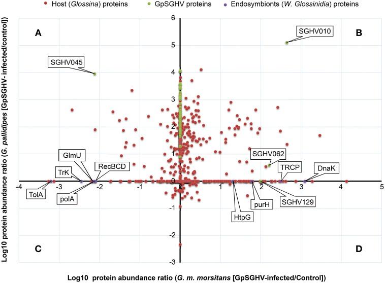 https://cdn.ncbi.nlm.nih.gov/pmc/blobs/7089/4746320/123b504a64cd/fmicb-07-00089-g0004.jpg