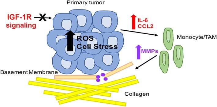 https://cdn.ncbi.nlm.nih.gov/pmc/blobs/708b/6245538/d916859cb4ef/13058_2018_1063_Fig8_HTML.jpg